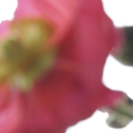 その他_19.jpg