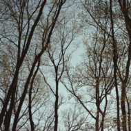 川船Ⅱ_7.jpg